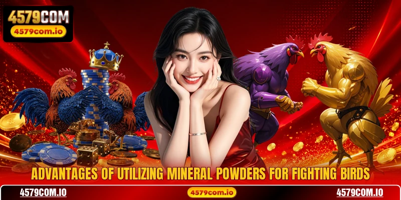 Advantages of utilizing mineral powders for fighting birds