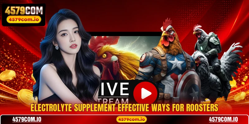 Electrolyte supplement effective ways for roosters