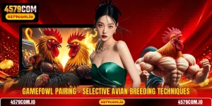 Gamefowl Pairing - Selective Avian Breeding Techniques