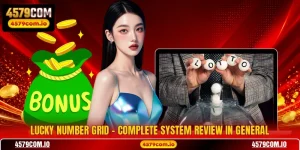 Lucky Number Grid - Complete System Review In General
