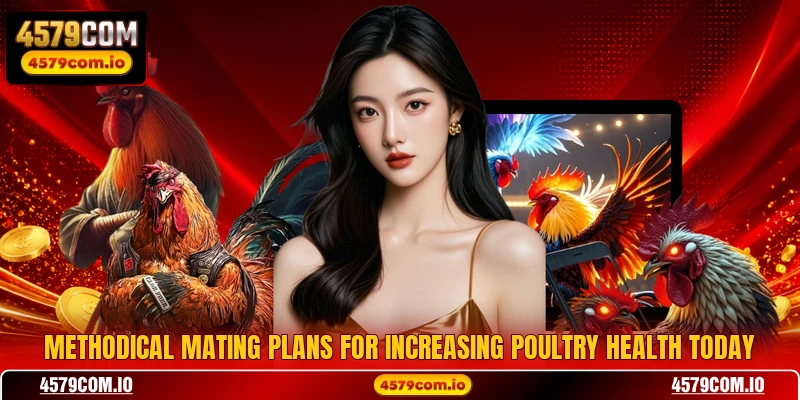 Methodical mating plans for increasing poultry health today