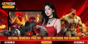 Natural Remedies Poultry - Secret Methods For Farmers