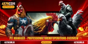 Pit Manager - Professional Arena Operations Overview