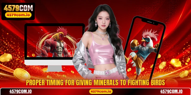 Proper timing for giving minerals to fighting birds