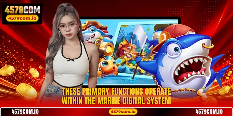 These primary functions operate within the marine digital system