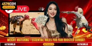 Weight Matching - Essential Rules For Fair Rooster Combat